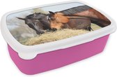 Broodtrommel Roze - Lunchbox Paarden - Hooi - Dieren - Brooddoos 18x12x6 cm - Brood lunch box - Broodtrommels voor kinderen en volwassenen