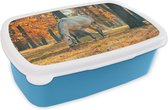 Broodtrommel Blauw - Lunchbox - Brooddoos - Paard - Herfst - Bos - 18x12x6 cm - Kinderen - Jongen