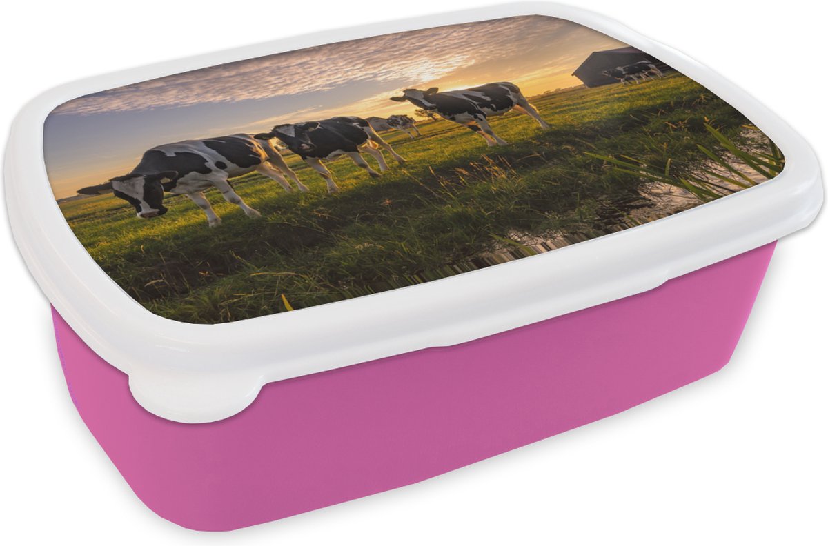 Broodtrommel Roze - Lunchbox - Brooddoos - Koe - Dier - Weiland - 18x12x6 cm - Kinderen - Meisje