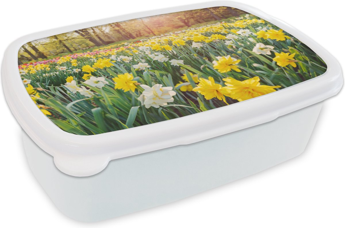 Broodtrommel Wit - Lunchbox - Brooddoos - Narcis - Kleuren - Lente - 18x12x6 cm - Volwassenen