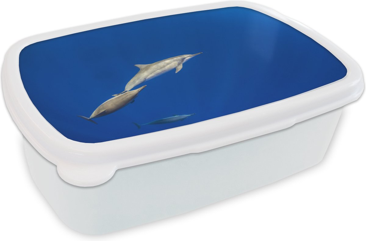 Broodtrommel Wit - Lunchbox - Brooddoos - Dolfijn - Dier - Zee - 18x12x6 cm - Volwassenen