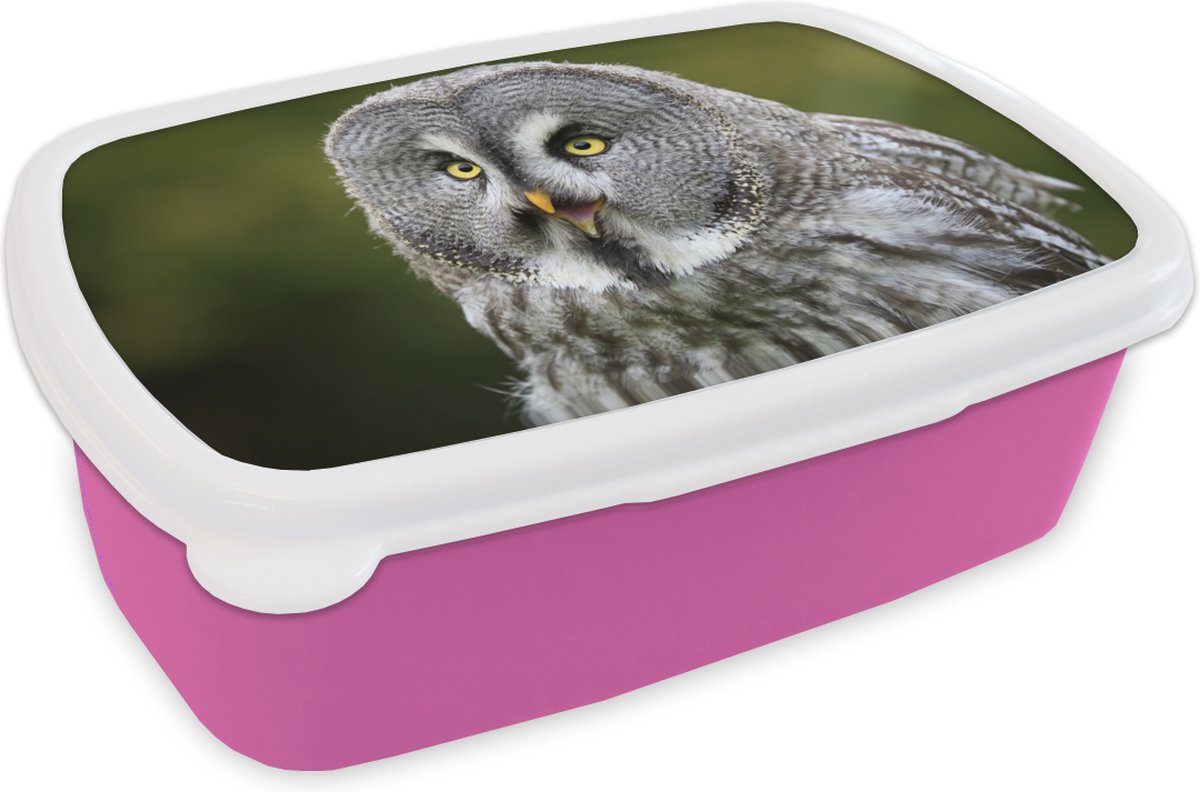 Broodtrommel Roze - Lunchbox - Brooddoos - Vogel - Uil - Grijs - 18x12x6 cm - Kinderen - Meisje