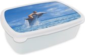 Broodtrommel Wit - Lunchbox - Brooddoos - Kind en dolfijn - 18x12x6 cm - Volwassenen