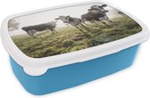Broodtrommel Blauw - Lunchbox - Brooddoos - Koe - Gras - Mist - 18x12x6 cm - Kinderen - Jongen
