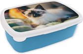 Broodtrommel Blauw - Lunchbox - Brooddoos - Kat - Vacht - Zwart - 18x12x6 cm - Kinderen - Jongen