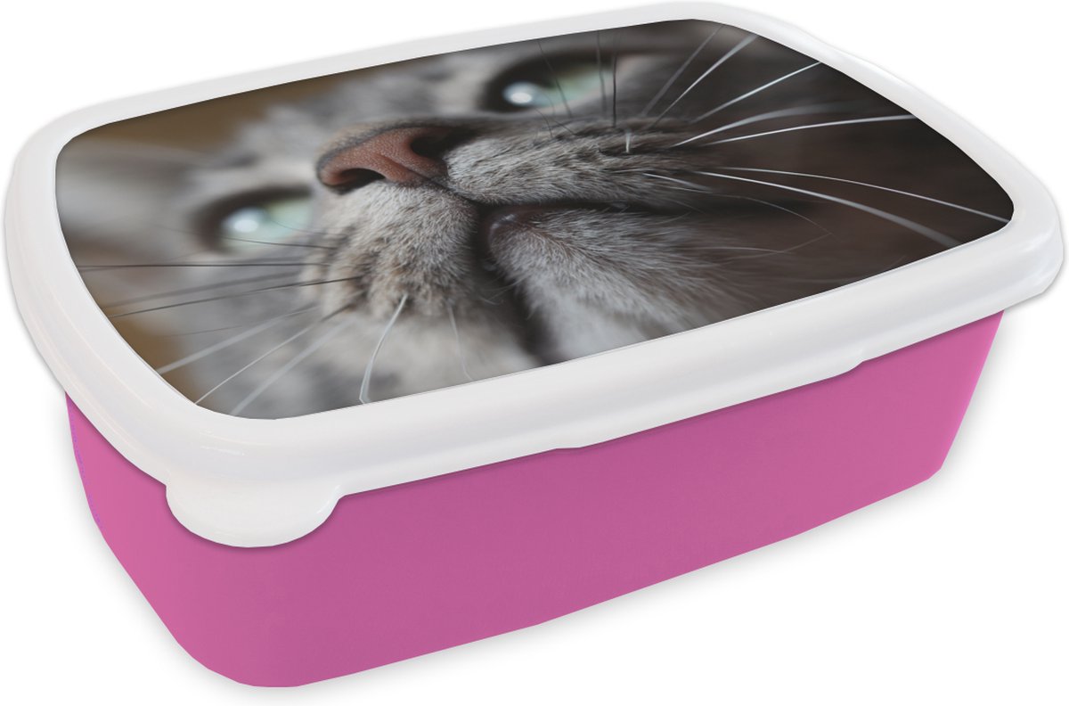 Broodtrommel Roze - Lunchbox - Brooddoos - Kat - Neus - Snorharen - 18x12x6 cm - Kinderen - Meisje