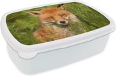 Broodtrommel Wit - Lunchbox - Brooddoos - Rode vos - Gras - Ogen - 18x12x6 cm - Volwassenen
