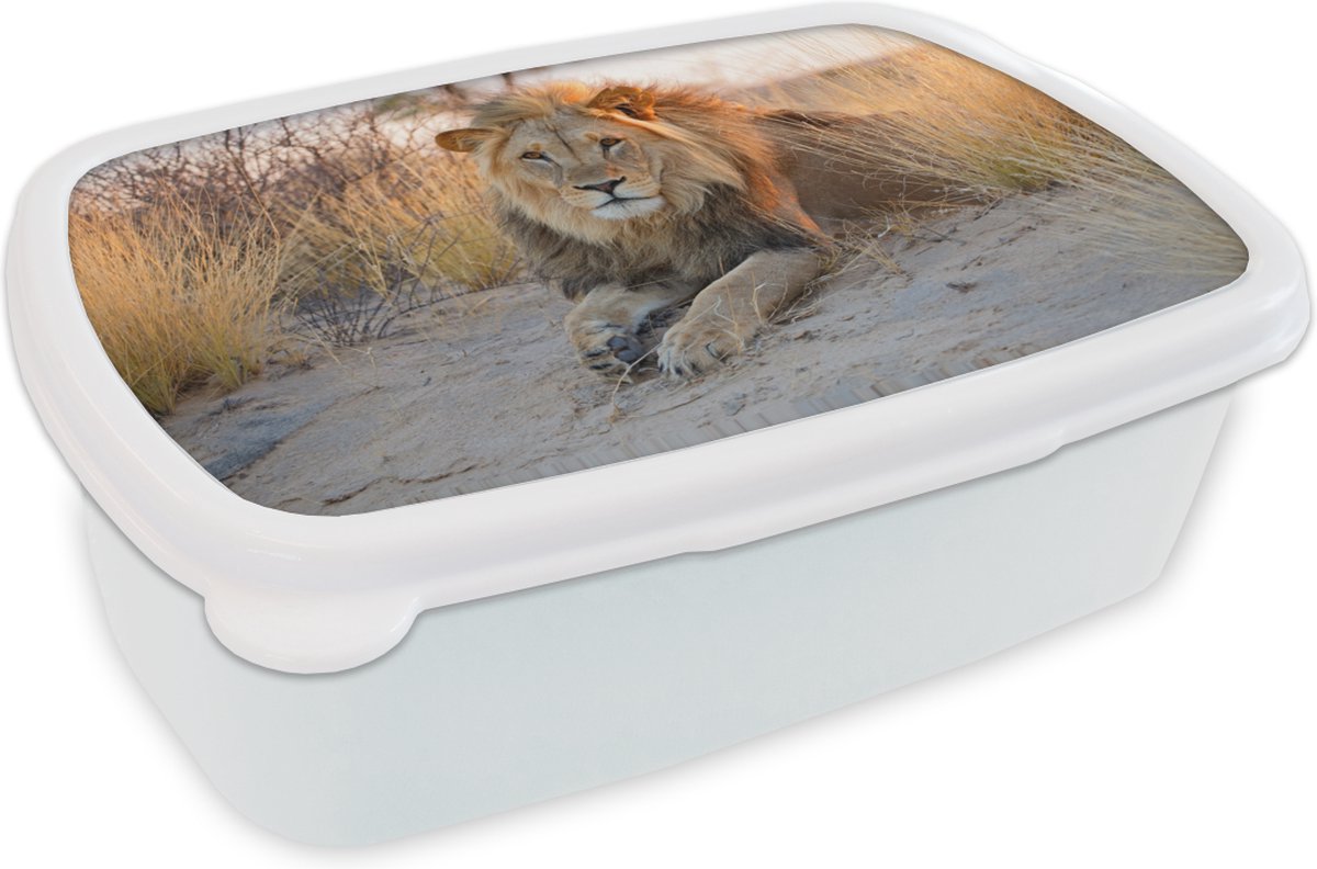 Broodtrommel Wit - Lunchbox - Brooddoos - Leeuw - Ochtend - Afrika - 18x12x6 cm - Volwassenen