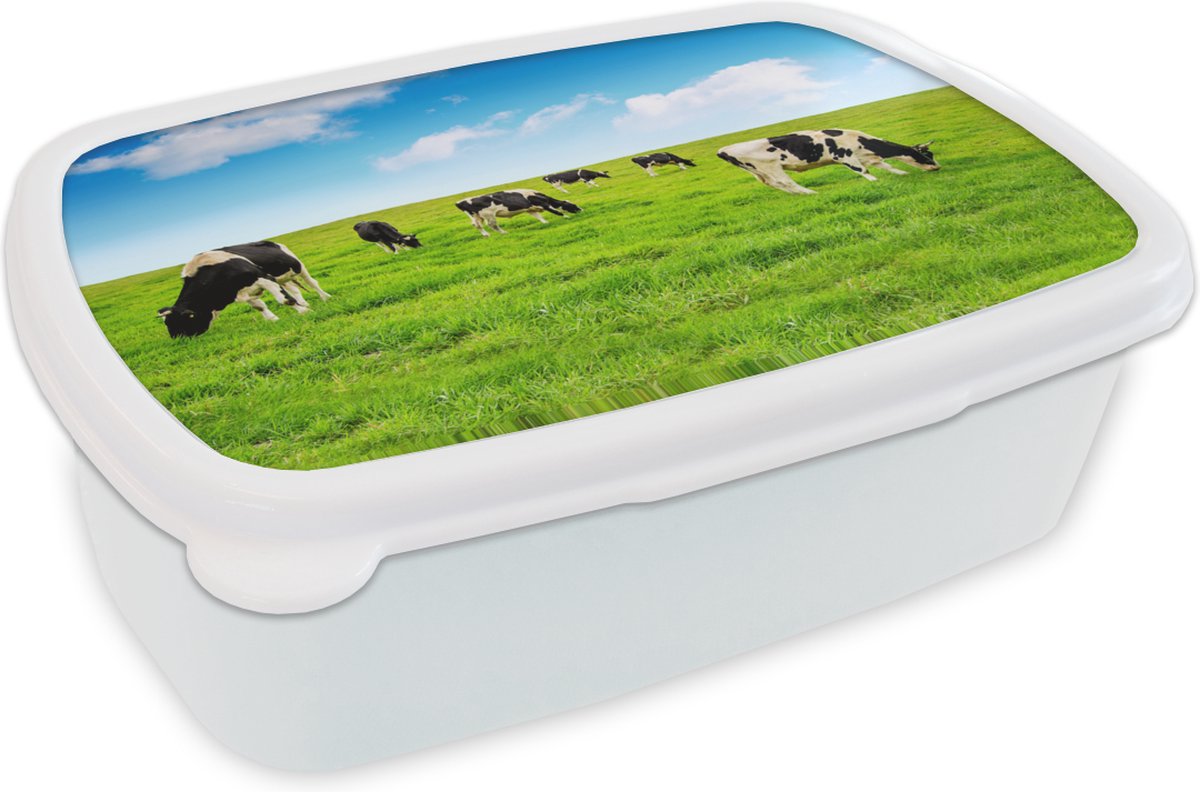 Broodtrommel Wit - Lunchbox - Brooddoos - Koe - Gras - Lucht - 18x12x6 cm - Volwassenen