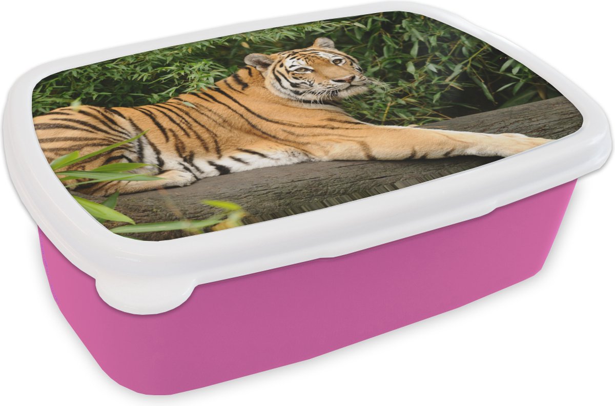 Broodtrommel Roze - Lunchbox - Brooddoos - Tijger - Boom - Bladeren - 18x12x6 cm - Kinderen - Meisje
