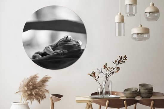 WallCircle - Wall Circle - Wall Circle Indoor - Grenouilles dans la nature du Costa Rica en noir et blanc - 120x120 cm - Décoration murale - Peintures Ronds XXL