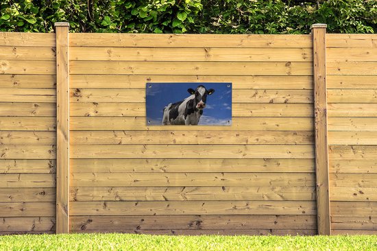 Affiche de jardin Vache - Herbe - Blauw - Animaux - 80x40 cm
