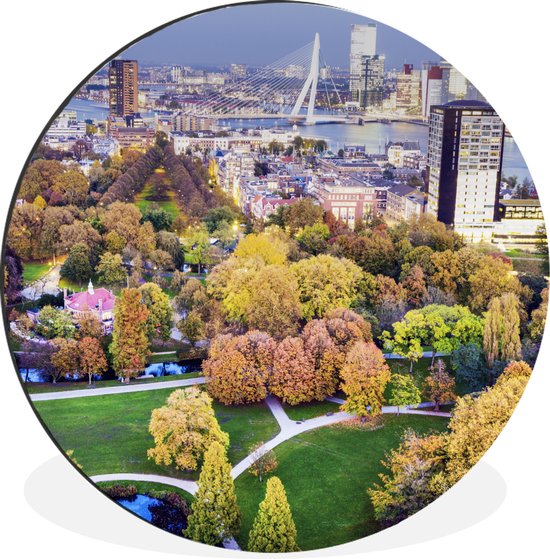 WallCircle - Wall Circle - Wall Circle - Rotterdam - Pays Nederland - Arbre - Aluminium - Dibond - 30x30 cm - Intérieur et Extérieur