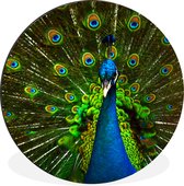 Wall Circle - Wall Circle - Paon - Ressorts - Motif - Blauw - Aluminium - Dibond - ⌀ 90 cm - Intérieur et Extérieur