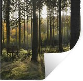 Stickers Stickers muraux - Forêt - Été - Soleil - 50x50 cm - Feuille adhésive