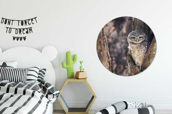 WallCircle - Stickers muraux - Cercle de papier peint - Chouette - Arbre - Forêt - 100x100 cm - Cercle mural - Autocollant - Papier peint autocollant rond XXL
