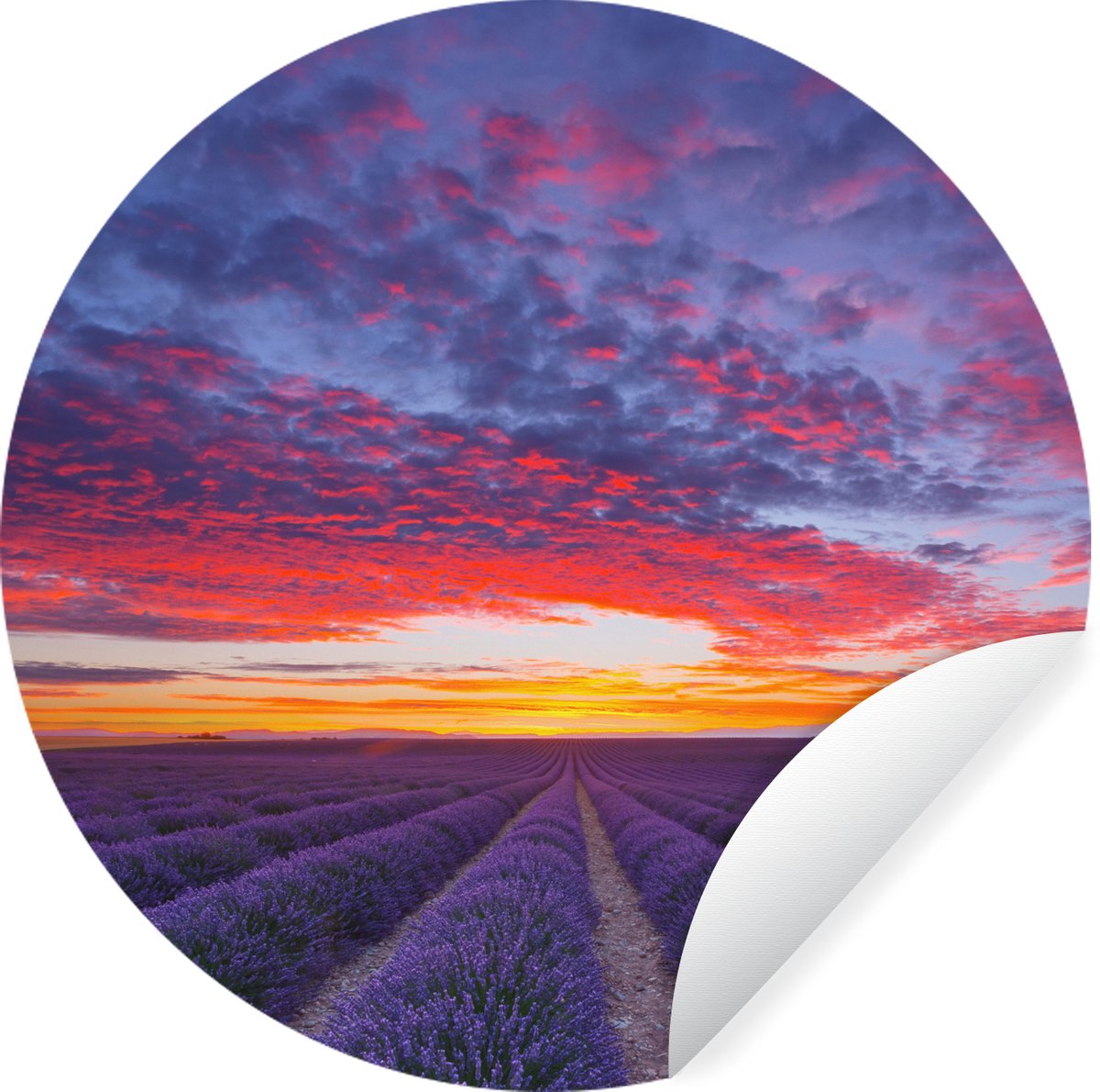 WallCircle® - Behangcirkel 50x50 cm - Muurstickers Paarse lavendelvelden bij de Franse gemeente Valensole - Muurcirkel woonkamer - Wandcirkel slaapkamer - Kamer decoratie zelfklevend - Muurdecoratie accessoires