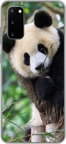 Geschikt voor Samsung Galaxy S20 hoesje - Panda - Dieren - Jungle - Natuur - Siliconen Telefoonhoesje