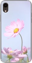 Geschikt voor iPhone XR hoesje - Bloemen - Roze - Buiten - Natuur - Siliconen Telefoonhoesje