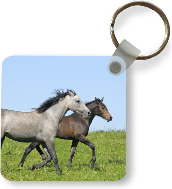 Sleutelhanger - Uitdeelcadeautjes - Paarden - Dieren - Gras - Plastic