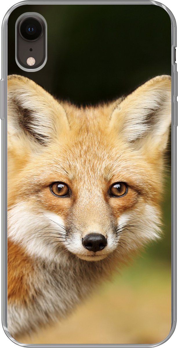 Telefoonhoesje Geschikt voor iPhone XR hoesje - Vos - Puppy - Portret - Siliconen Telefoonhoesje Telefoonhoesje