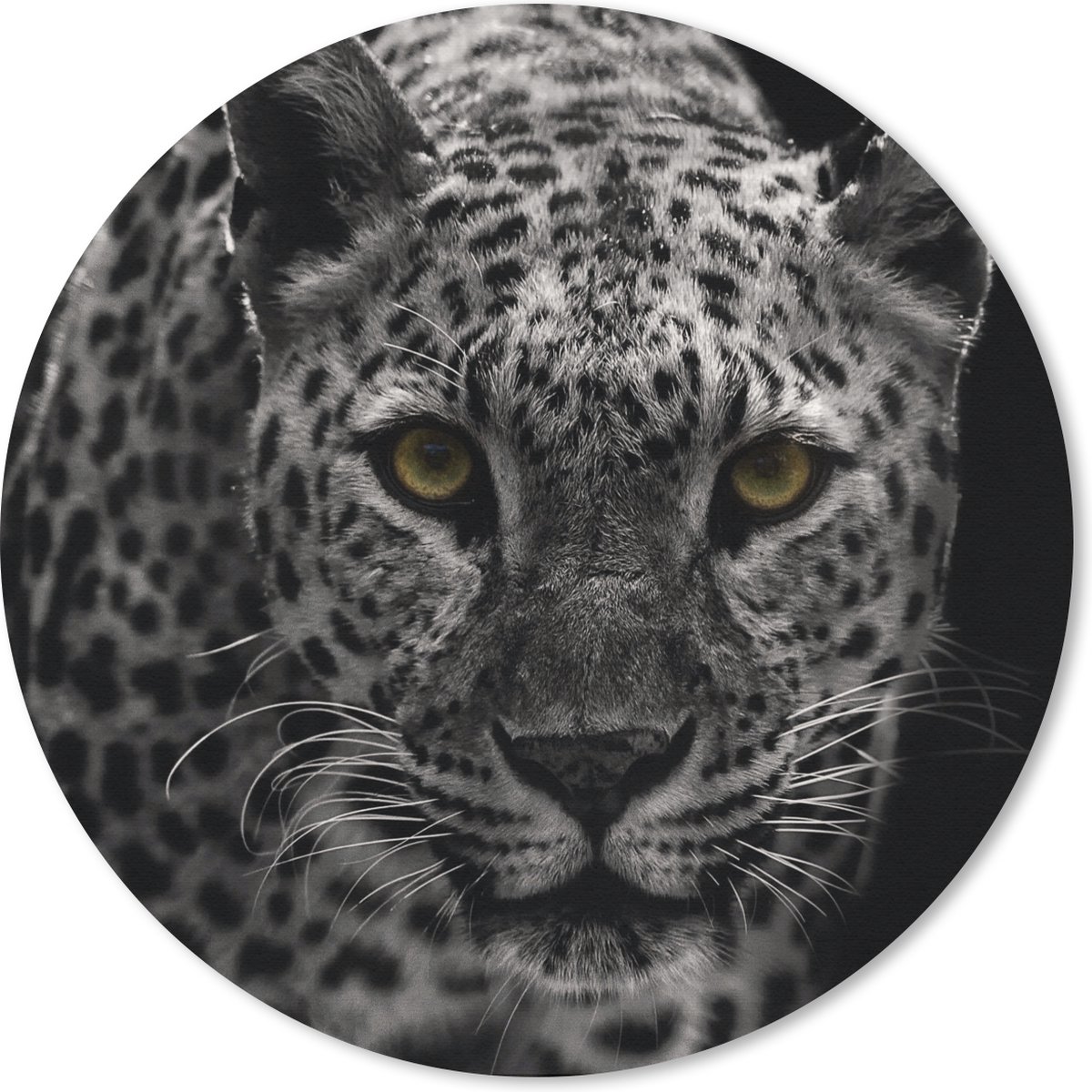 Muismat rond 20x20 cm - Mousepad Luipaard - Zwart - Wit - Ronde muismatten