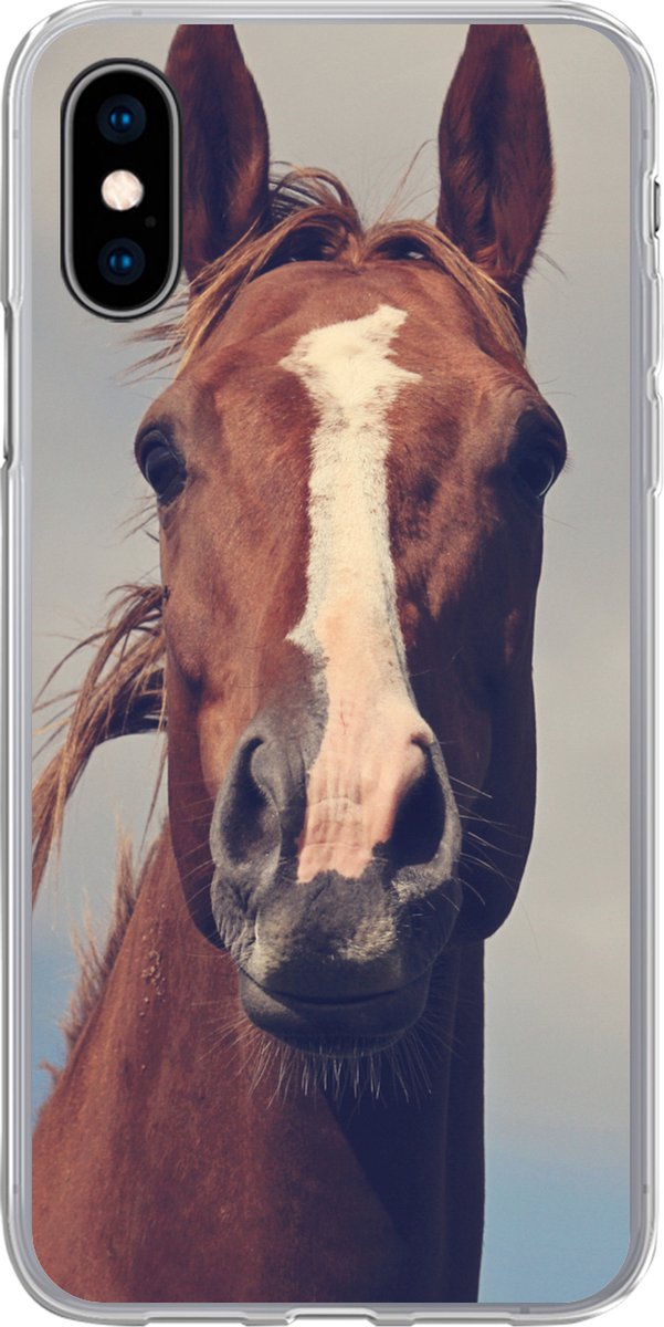 Telefoonhoesje Geschikt voor iPhone X hoesje - Paard - Lucht - Blauw - Siliconen Telefoonhoesje Telefoonhoesje
