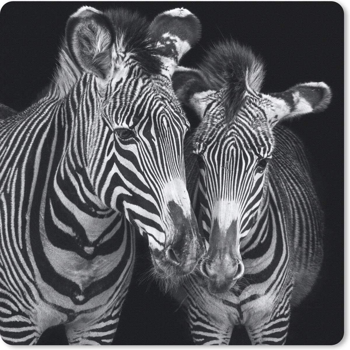 Muismat 20x20 cm - Mousepad Dierenprofiel zebra's in zwart-wit - Muismatten
