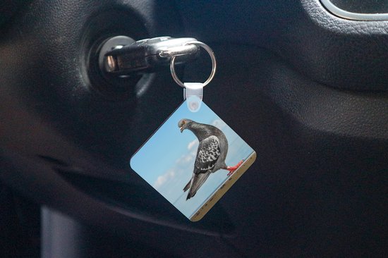 Porte-clés Duif - Une colombe grise devant un ciel bleu Porte-clés plastique - Porte-clés carré avec photo