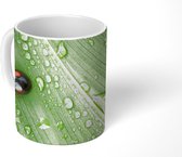Mok - Lieveheersbeestje op blad met druppels - 350 ML - Beker