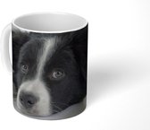 Mok - Een border collie liggend op de vloer - 350 ML - Beker