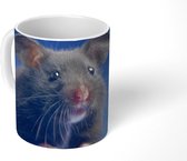 Mok - Koffiemok - Donkergrijze hamster blauwe achtergrond - Mokken - 350 ML - Beker - Koffiemokken - Theemok