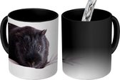 Magische Mok - Foto op Warmte Mokken - Koffiemok - Zwarte cavia - Magic Mok - Beker - 350 ML - Theemok