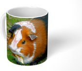 Mok - Koffiemok - Cavia buiten - Mokken - 350 ML - Beker - Koffiemokken - Theemok