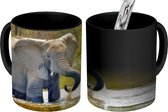 Magische Mok - Foto op Warmte Mokken - Koffiemok - Badderende olifant - Magic Mok - Beker - 350 ML - Theemok