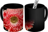 Magische Mok - Foto op Warmte Mok - Een oranje gerbera bloem zwarte achtergrond - 350 ML