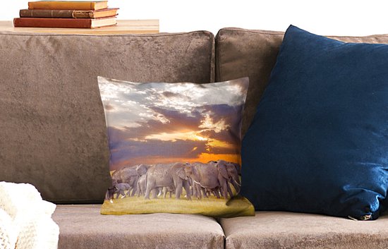 Troupeau d'éléphants au bord d'un lac