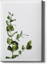 Walljar - Eucalyptus - Muurdecoratie - Canvas schilderij