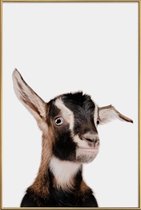 JUNIQE - Poster met kunststof lijst Goat -30x45 /Bruin & Wit