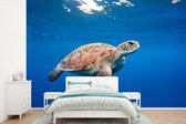 Behang - Fotobehang Schildpad in de oceaan - Breedte 600 cm x hoogte 400 cm