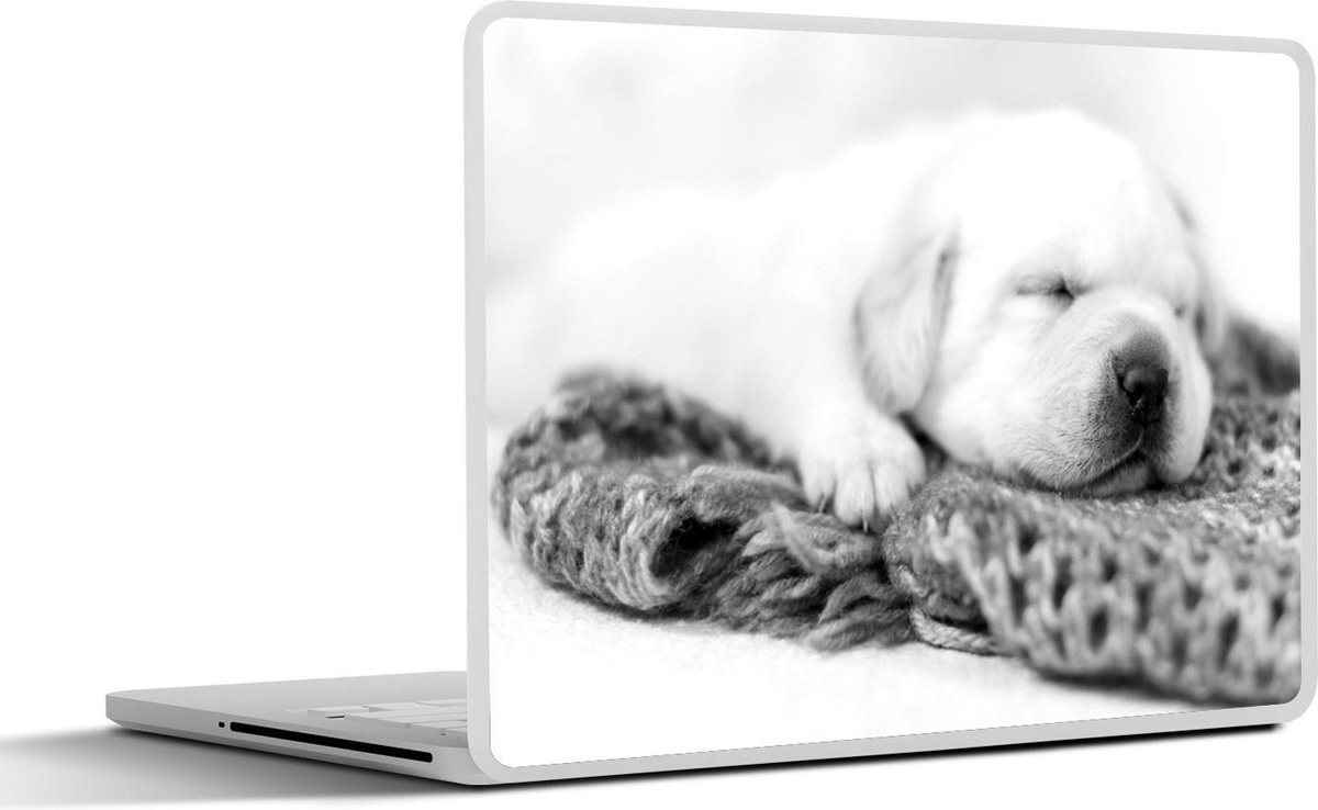 Afbeelding van product SleevesAndCases  Laptop sticker - 12.3 inch - Slapende puppy op een kleurrijke sjaal - zwart wit