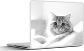 Sticker ordinateur portable - 13,3 pouces - Gros plan chat - noir et blanc