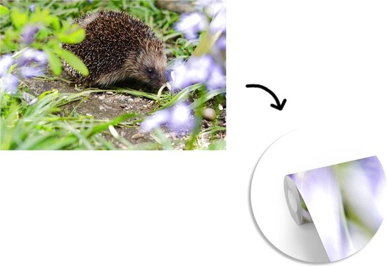 Papier peint photo peint photo vinyle - Hérisson derrière les fleurs largeur 600 cm x hauteur 400 cm - Tirage photo sur papier peint (disponible en 7 tailles)