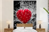 Behang - Fotobehang Zwart-wit foto met een rode hartvormige cactus - Breedte 170 cm x hoogte 260 cm