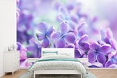 Behang - Fotobehang Close up van paarse bloesems van de sering - Breedte 360 cm x hoogte 240 cm