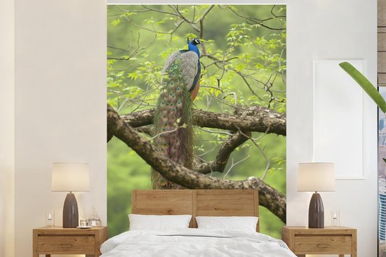 Papier peint - Papier peint photo Paon - Ressorts - Arbre - Largeur 195 cm x hauteur 300 cm