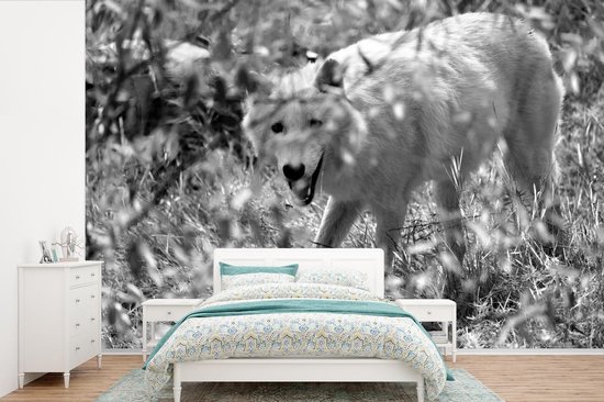 Papier peint - Papier peint photo peint Loup Witte dans l'herbe en noir et blanc - Largeur 360 cm x hauteur 240 cm