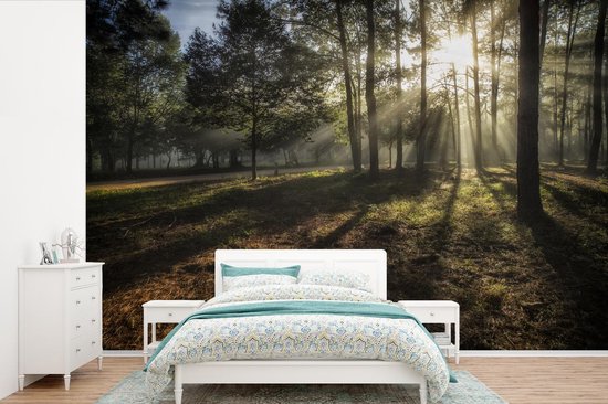 Forêt brumeuse pendant un fotobehang de lever de soleil