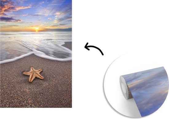 Papier Peint - Papier peint photo Etoile de Mer - Water - Soleil - Largeur 155 cm x Hauteur 240 cm