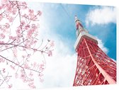 Zicht de communicatietoren van Tokio bij een kersenbloesem - Foto op Dibond - 60 x 40 cm